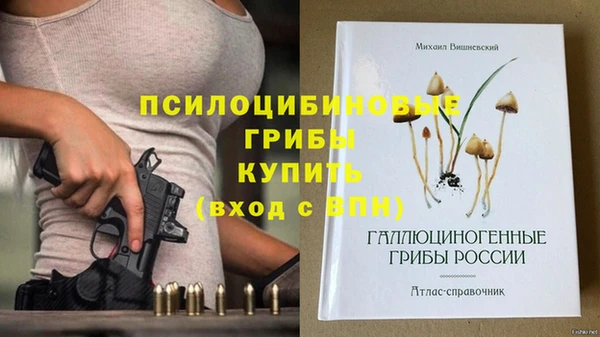 СК Алзамай